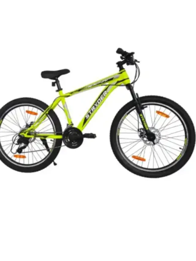 टाटा ने लांच की Electric Cycle, 250 वाट मोटर कम कीमत में मिलेगा यहां