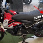 Bajaj CNG Freedom 125
