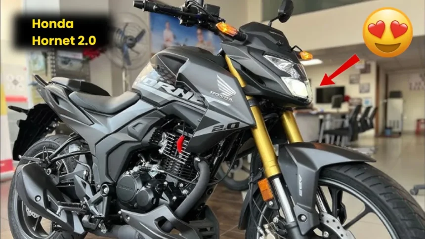 Honda Hornet 2.0